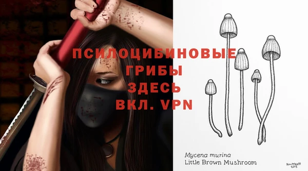 молекула духа Алексин