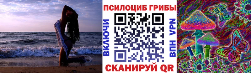 цена наркотик  Йошкар-Ола  Галлюциногенные грибы мухоморы 